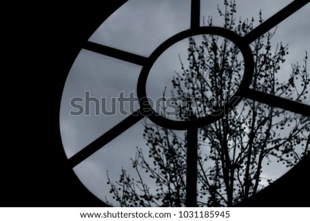 A window with very defined shapes and a tree in the focal point.