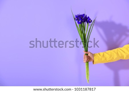 cropped view of female hand holding irises, on trendy ultra violet background