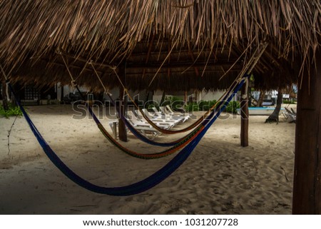 Hanging hammocks at the beach