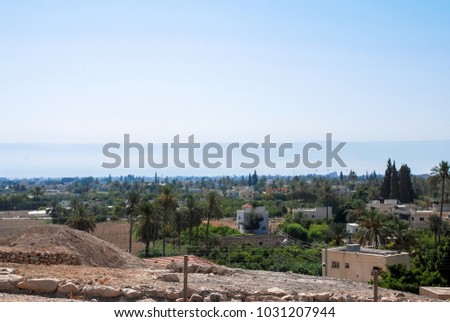Horizontal picture of local vegetation during sunny day in Jericho, Israel