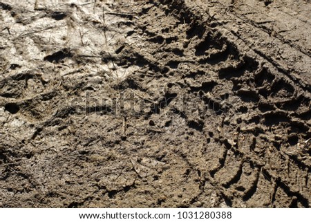 Tyre trails in the muddy terrain