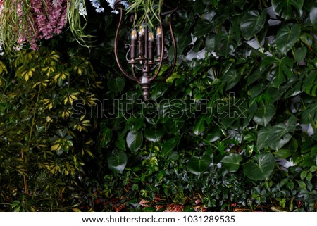 Plants in pots, wall decoration, Square Green plants and flower on the wall, many flowerpots with flowers. vertical pixel garden background