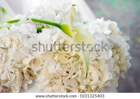 Shooting of a floral combination between white hydrangea and white cove. Wedding concept.