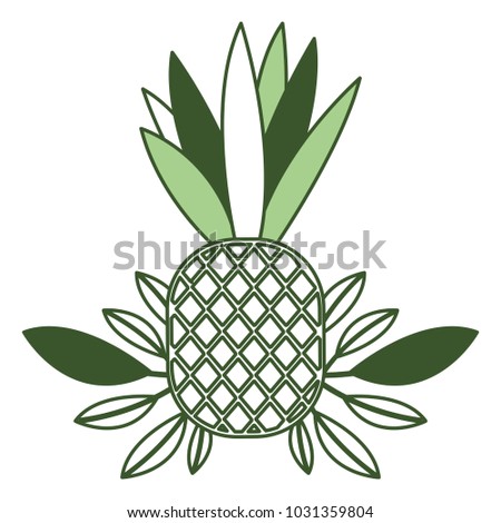 pineapple fresh fruit with leafs frame