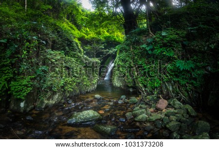 Rainforest, Green waterfalls, Green forest, Kok e Dok waterfalls,Thailand.