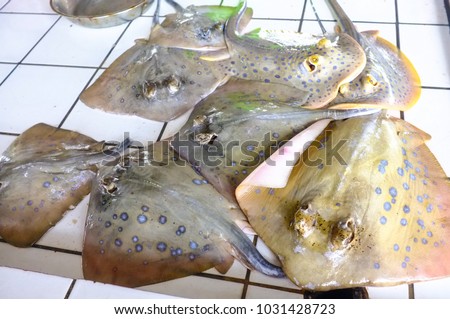 Close up stack of Stingrays in seafood market.Its are a group of rays,which are cartilaginous fish related to sharks.
