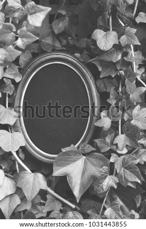 black and white frame for photography on a background of green foliage. mock up.