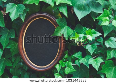 frame for photography on a background of green foliage. mock up.