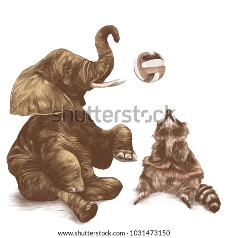 the elephant and the raccoon sitting around playing volleyball, sketch vector graphics color picture