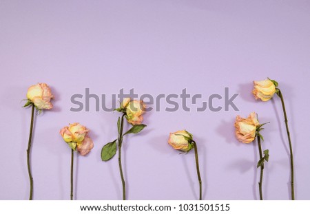 lawn of pink roses on purple