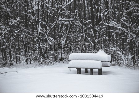 Wooden table and bench covered with snow in the park in winter