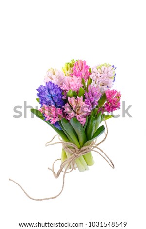 Lilac, blue, pink, raspberry hyacinths in a small, low bouquet, tied with a rope. A holiday, a gift for a woman. Smart. Side view. Isolated Royalty-Free Stock Photo #1031548549