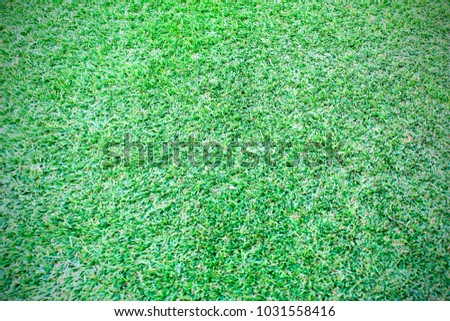 artificial grass floor
