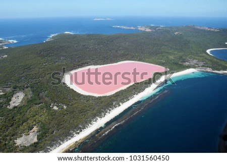 Aerial view of the amazing Lake Hillier (Pink Lake), near Esperance. It is a saline lake that represents an amazing natural landmark in Western Australia Royalty-Free Stock Photo #1031560450