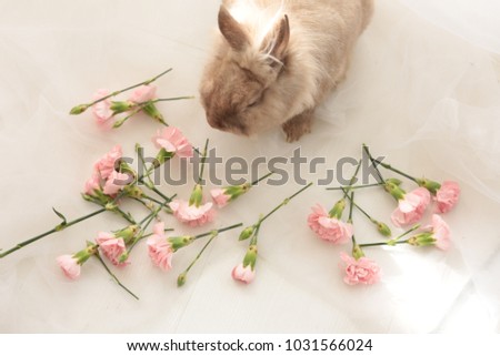 Beige Easter bunny rabbit with rose flowers