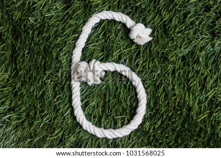 Rope numbers on grass. Number 6