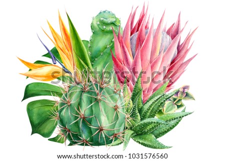 bouquet of tropical plants and flowers on white background, watercolor hand drawing, leaves of palms, monstera, succulent, cactus, protea, strelitzia, agave