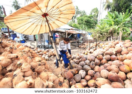 Man shelling coconuts