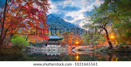 Baekyangsa Temple in autumn,Naejangsan Park in korea.
 Royalty-Free Stock Photo #1031665561