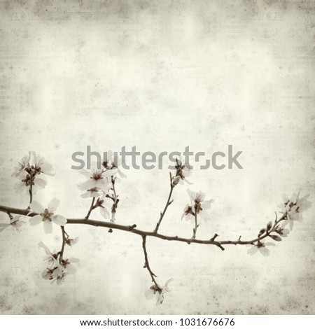 textured old paper background with flowering almond branches