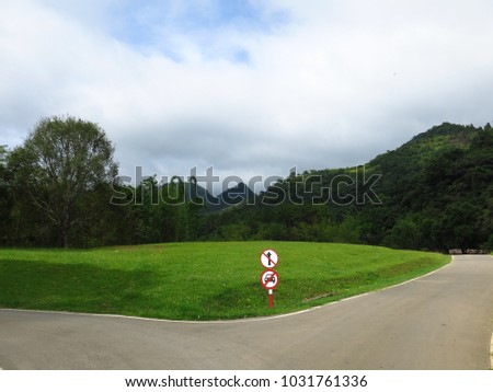 Road in countryside with do not go straight sign and cars prohibited sign, beside green grass field and mountain with cloud sky as background 