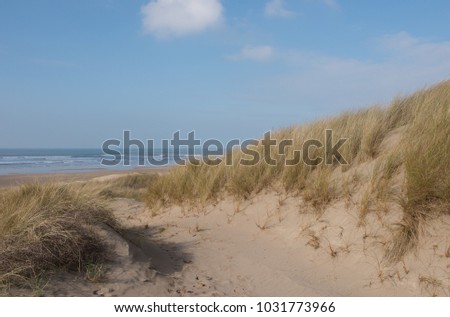 The Sand Dunes of Braunton Burrows next to Saunton Sands Beach and the Atlantic Coast in North Devon, England, UK