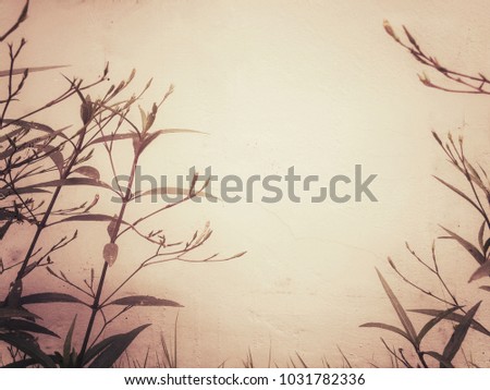 Leaves outdoor ornamental plants, soft tree color brown tone background and texture and material vintage, old, art, concept