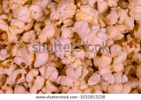 Texture of the roasted popcorn for background