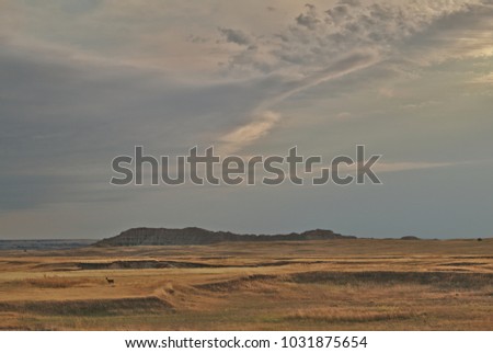 Badlands National Park, South Dakota / USA - August 8, 2016: Badlands South Dakota With Mule Deer and Clouds 