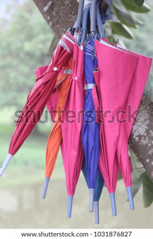 beautiful colorful umbrella hang on tree in thailand