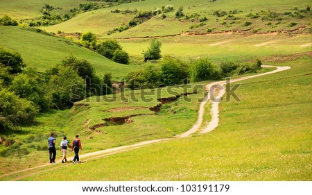 summer country road landscape with few people in walk Royalty-Free Stock Photo #103191179