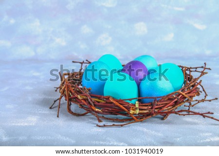 Blue easter eggs in a nest with white flowers on a gray concrete background