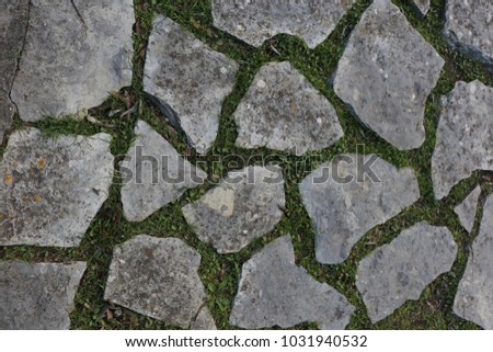 Close up outdoor view of a paved ground surface. Gray flat blocks of different forms with grass and herb between each stone element. Pattern with stone pieces and natural green lines. Mosaic design. 