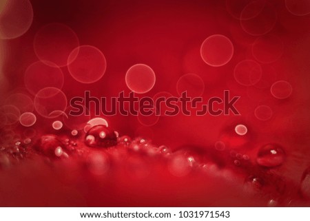 Abstract magnified water droplets wallpaper