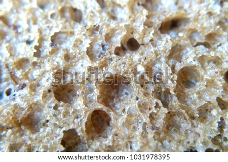 The texture of the bread close-up blurred background macro photography