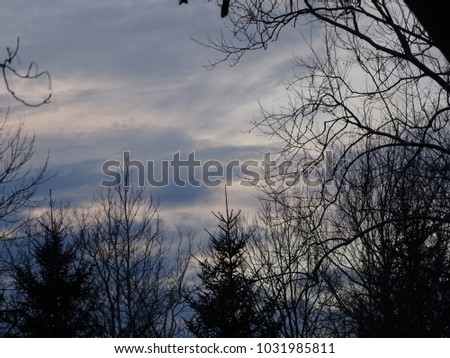 trees framing picture with clouds rolling in