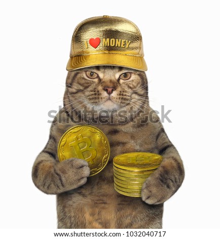 The cat in a gold baseball cap holds a pile of bitcoins. White background.