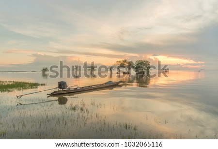 Beautiful lake landscape view, sunrise and sky background in the morning with cork tree at Pakpra Thale Noi village landmark in Phatthalung Thailand