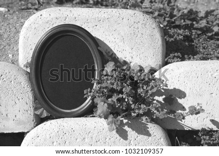 black and white oval frame for photography on a background of leaves. mock up.