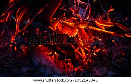 Burning wood. Campfire. Fire Background