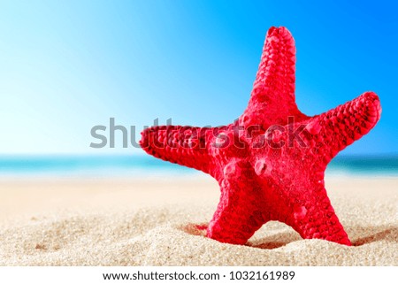 Shell decoration on sand and sea landscape 
