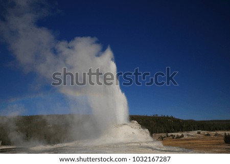 Yellowstone Castle Geyser erupting on background of blue sky 