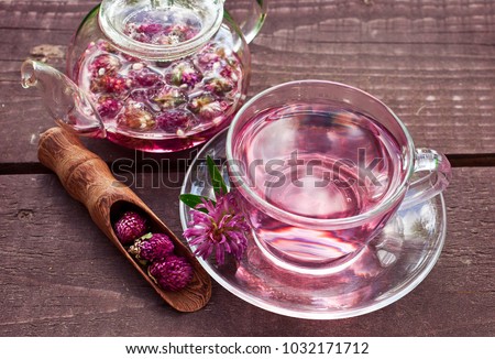 Clover flower tea in the almost empty glass teapot, a glass cup of tea, scoop of dry clover flowers on a wooden table 