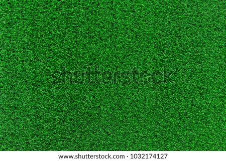 Green grass soccer field background.