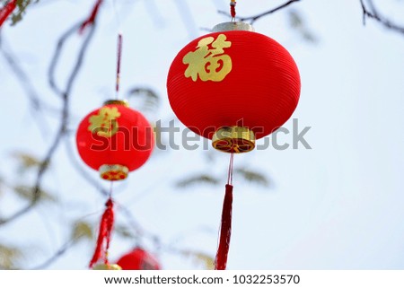 Chinese lanterns with the word "Fu" which means wealth hanging on the tree to celebrate the Chinese New Year.