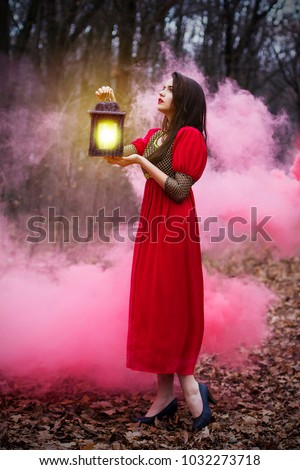 Girl in a red dress in a forest with a lantern. A picture from a fairy tale. Background with red smoke.