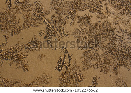Beautiful background of patterns on sand beach by nature  