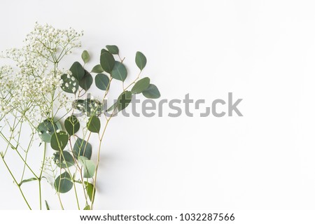 Flat lay top view photo. Mockup on a white background  with gentle flowers and plants. Cute feminine mock up. Blog header image. Blank space.