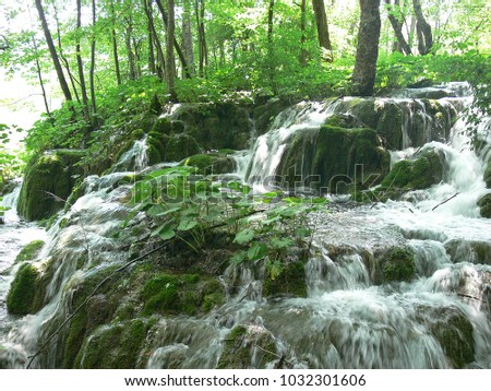 Stream running down in the forest
