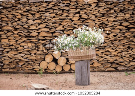basket with daisies on a firewood background